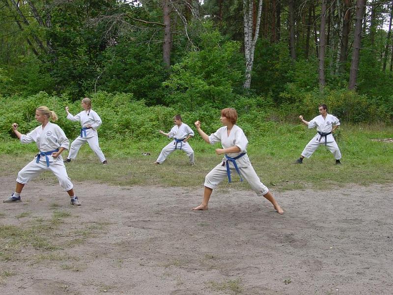 Heian Sandan 1.jpg